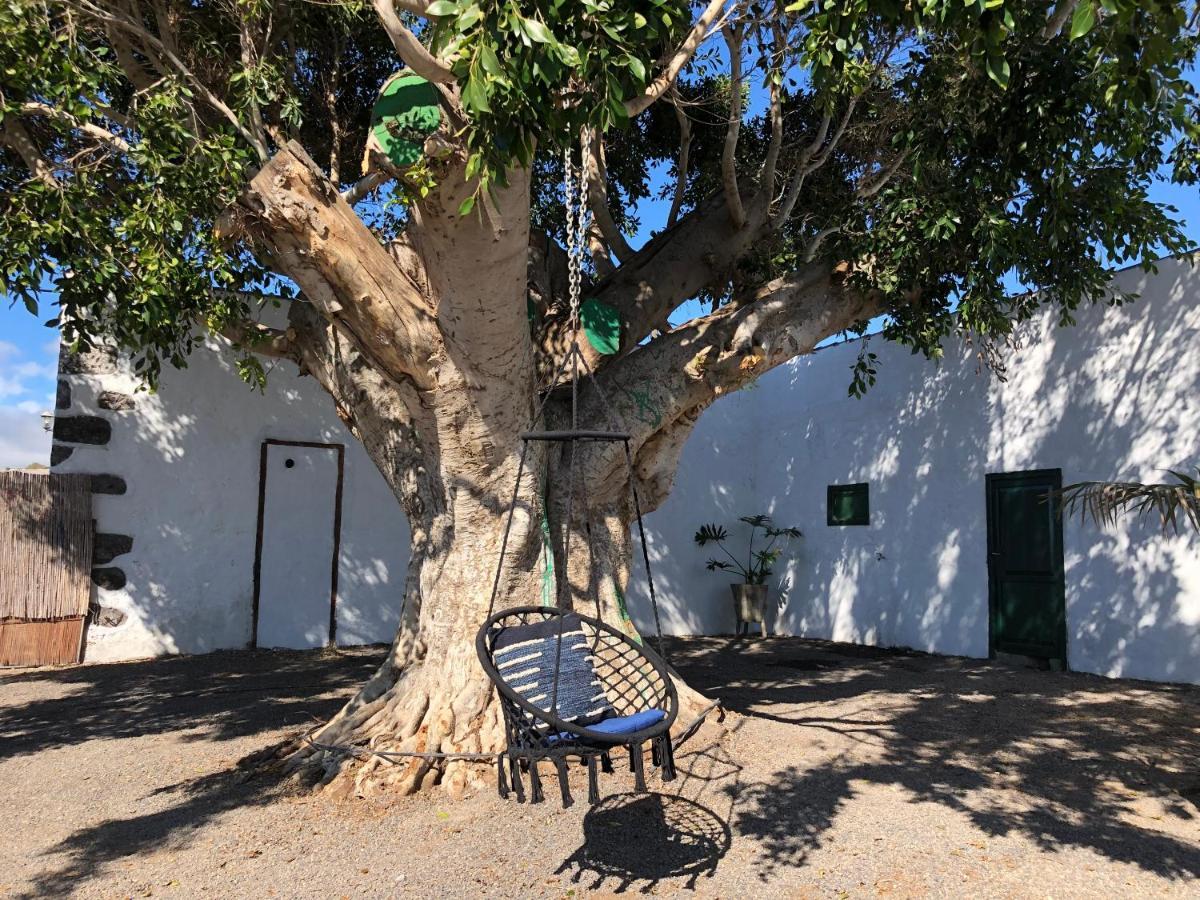 Finca Los Llanitos Guía de Isora Exteriér fotografie