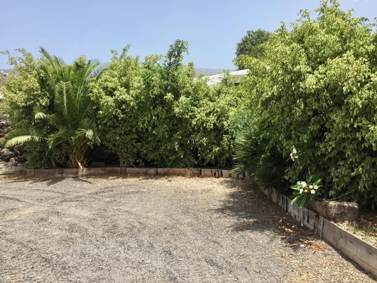 Finca Los Llanitos Guía de Isora Exteriér fotografie